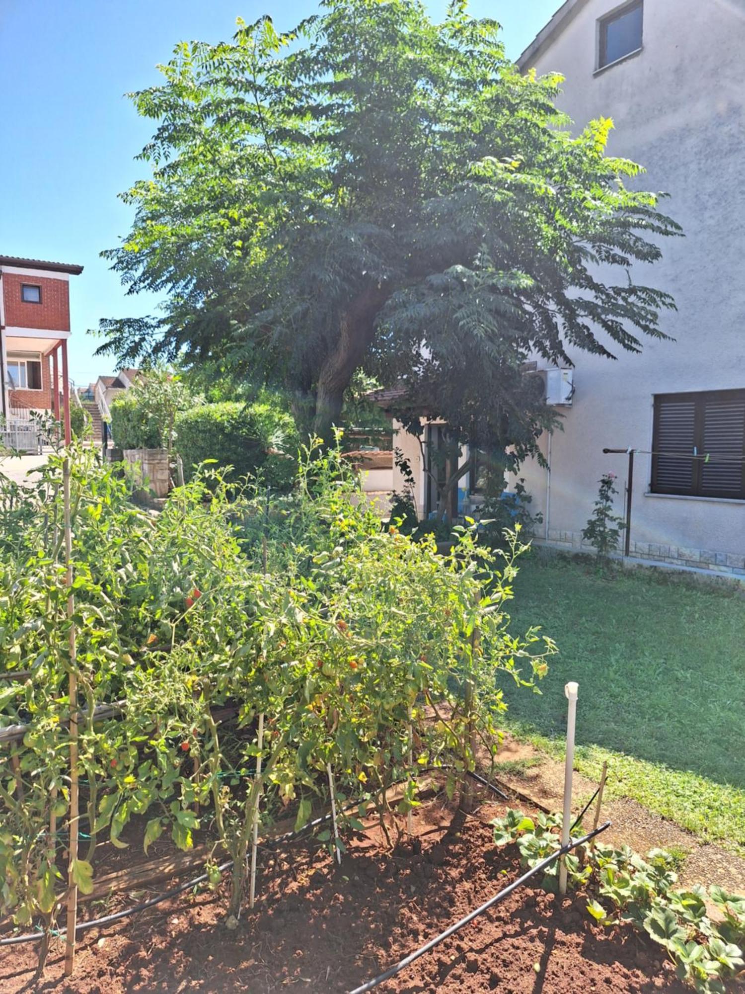 Apartments Reinic Novigrad Istria Exterior foto